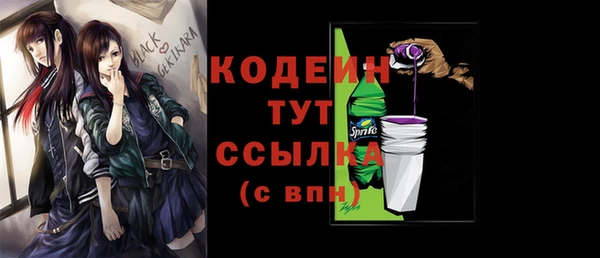 шишки Слюдянка