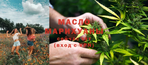 шишки Слюдянка