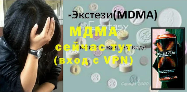 шишки Слюдянка
