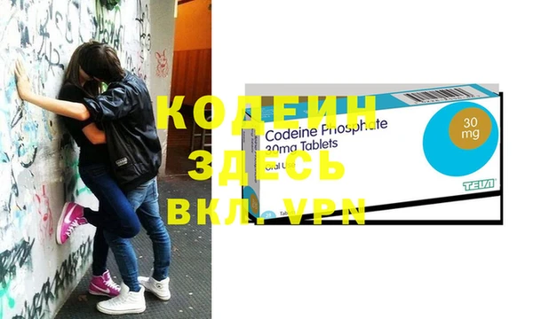шишки Слюдянка