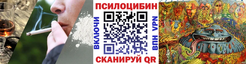 Купить  Городовиковск  Псилоцибиновые грибы мицелий 